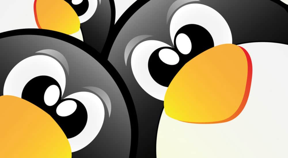 Google Penguin 4.0 explained